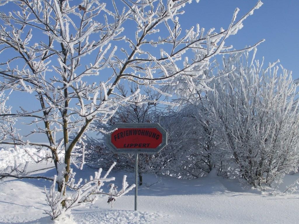 Ferienwohnung Lippert Pullenreuth Buitenkant foto